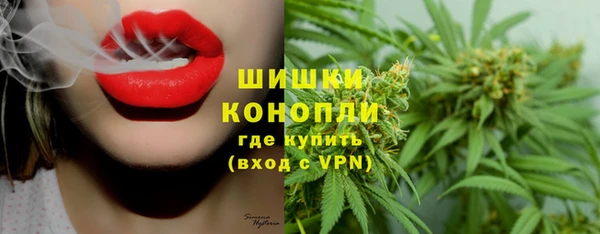 PSILOCYBIN Алексин