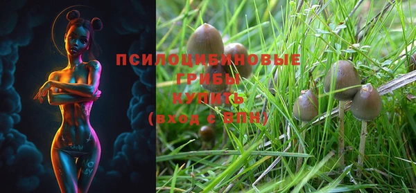 амф Алексеевка