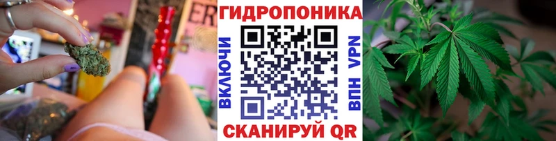 наркотики  Пугачёв  Марихуана ГИДРОПОН 